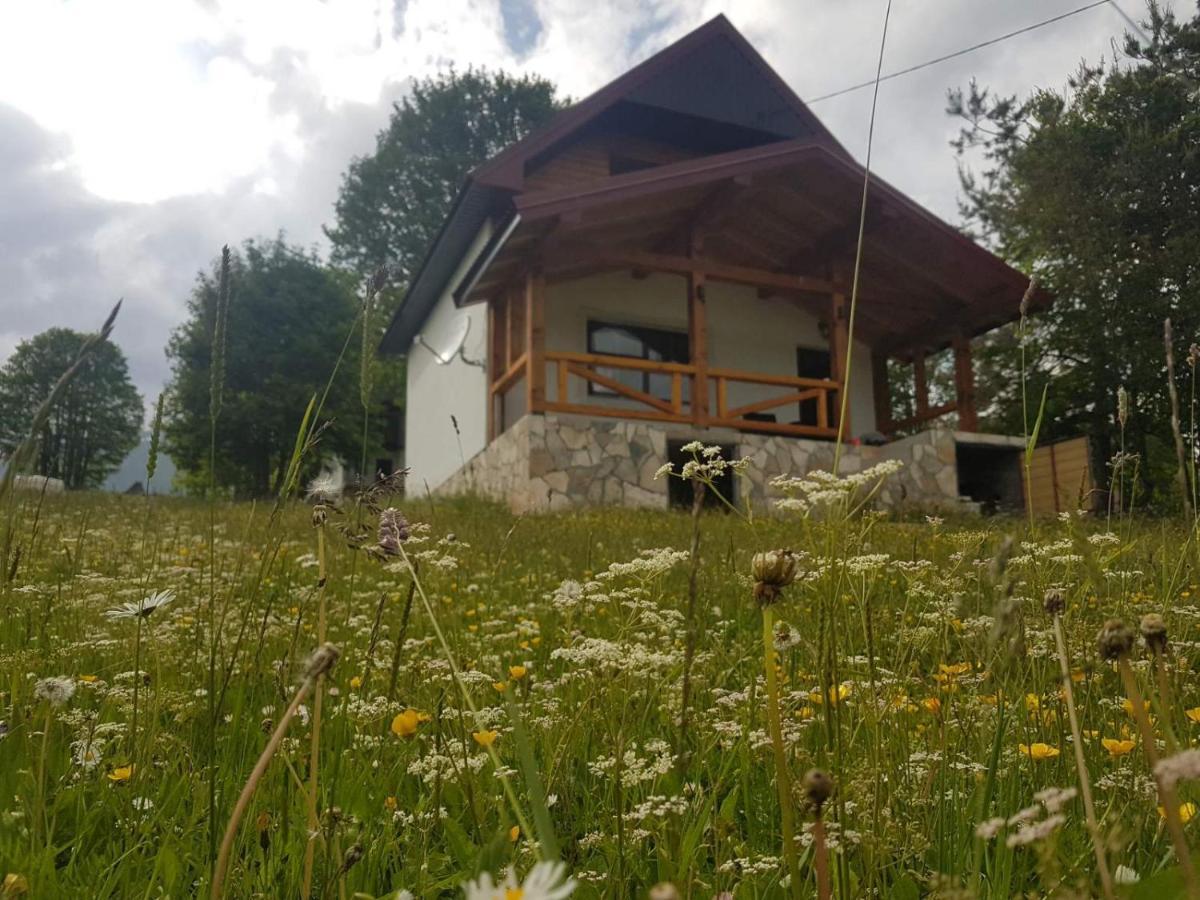 Eco Village Highlander Zabljak  Ngoại thất bức ảnh